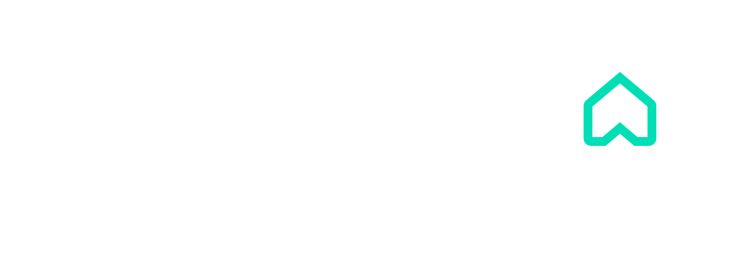 Rightmove Lockup White